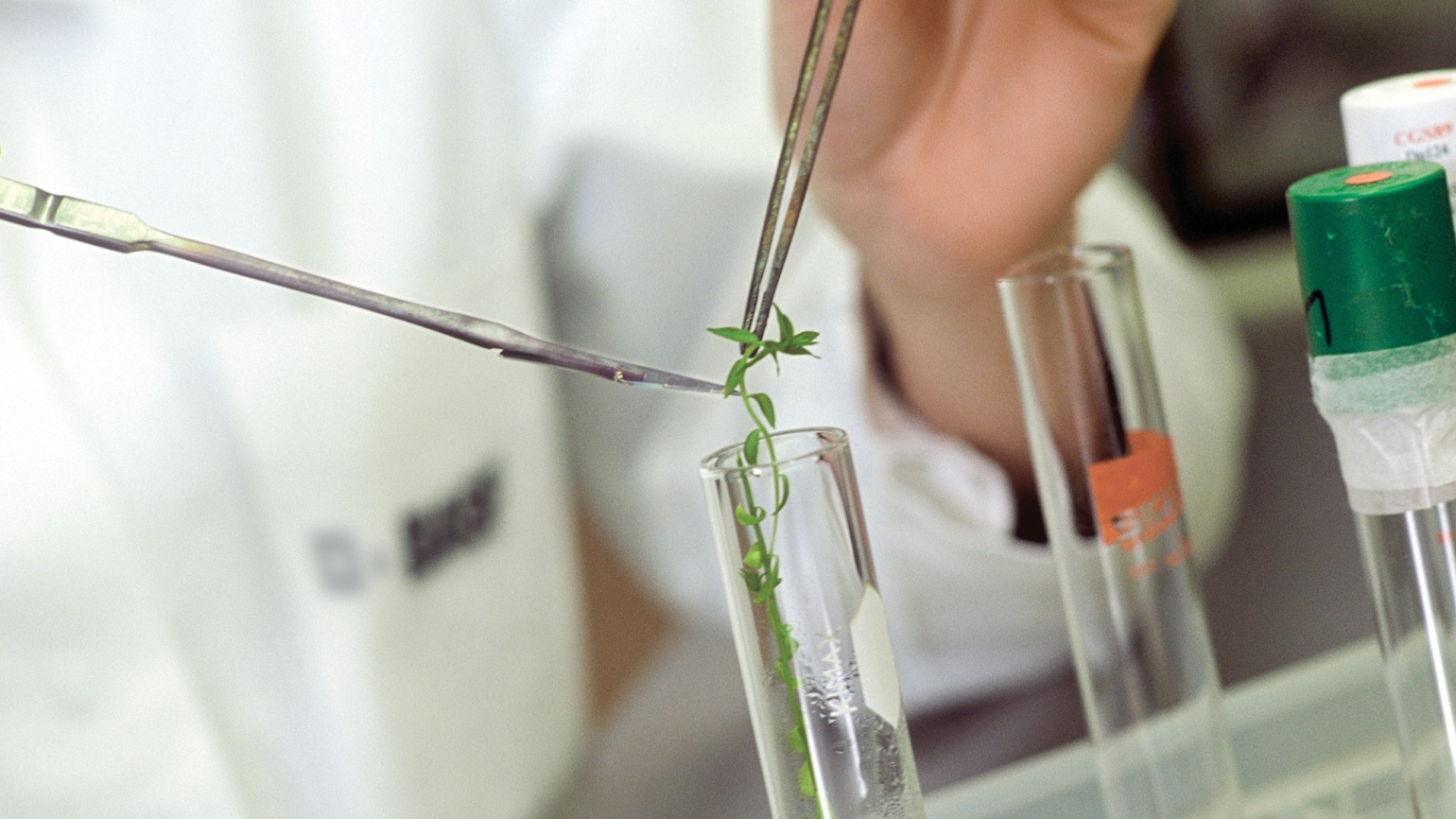 Исследования и разработки - 1