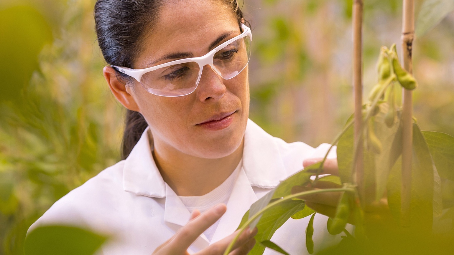 Исследования и разработки - 6