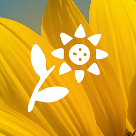 Семена полевых культур