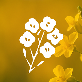 Семена полевых культур